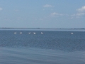 20140808_120616