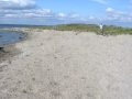 cb_misc_01